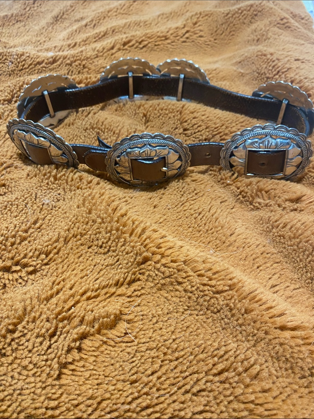 BRIGHTON LEATHER CONCHO BELT